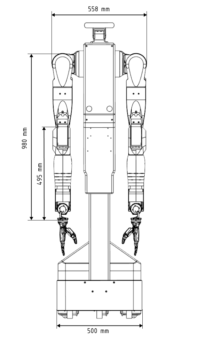 Feather, front view with dimensions